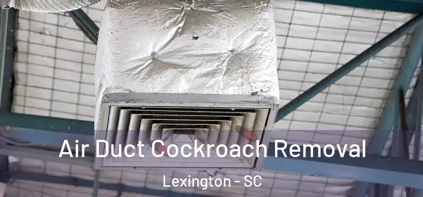  Air Duct Cockroach Removal Lexington - SC