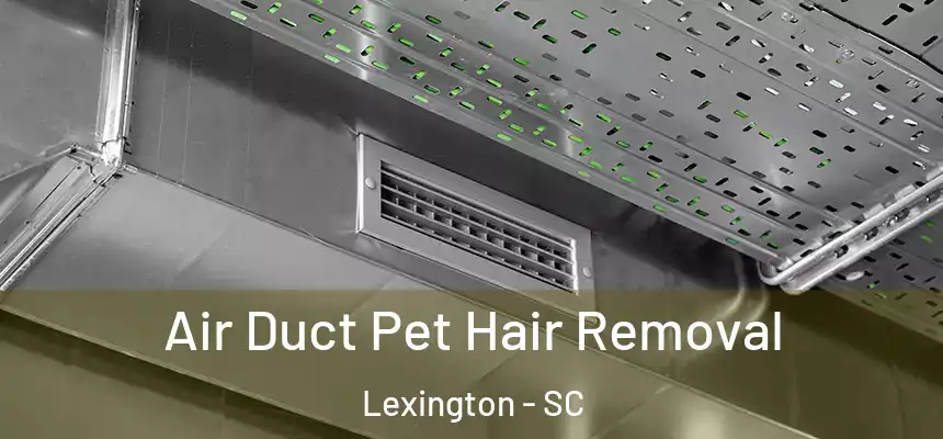  Air Duct Pet Hair Removal Lexington - SC