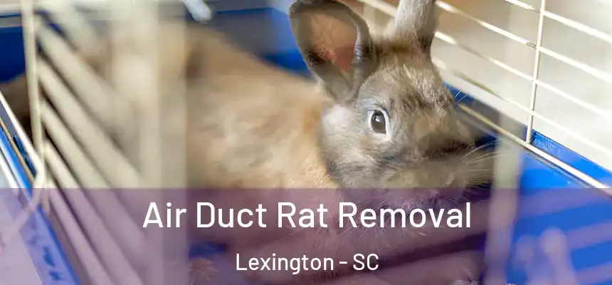  Air Duct Rat Removal Lexington - SC