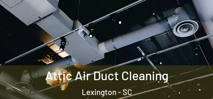  Attic Air Duct Cleaning Lexington - SC