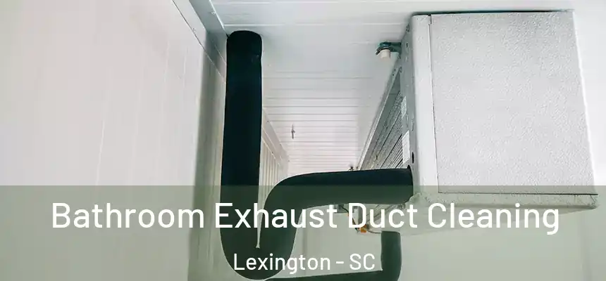  Bathroom Exhaust Duct Cleaning Lexington - SC
