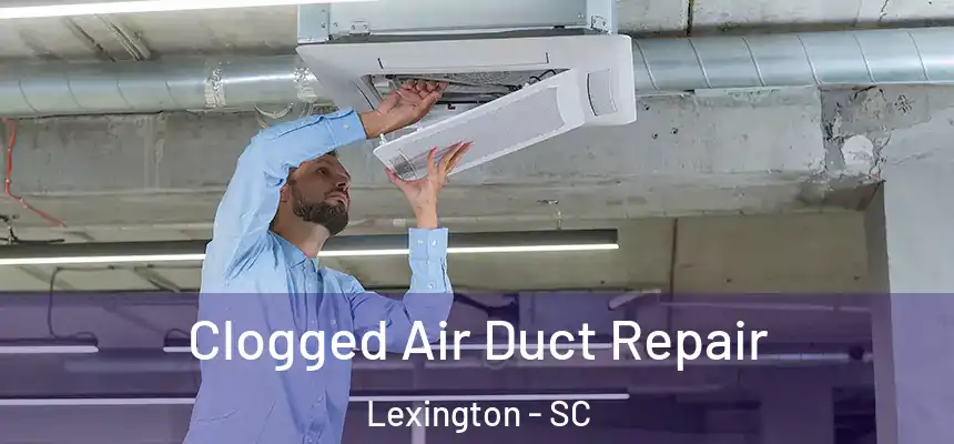 Clogged Air Duct Repair Lexington - SC