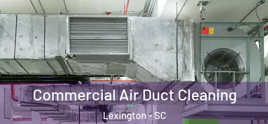  Commercial Air Duct Cleaning Lexington - SC