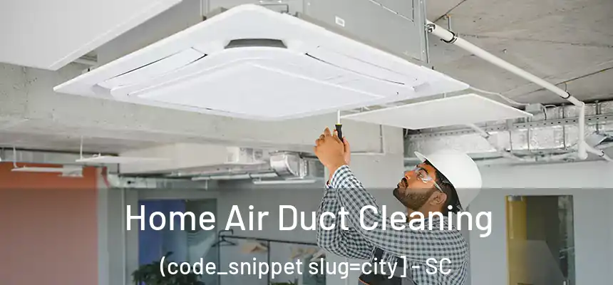  Home Air Duct Cleaning (code_snippet slug=city] - SC