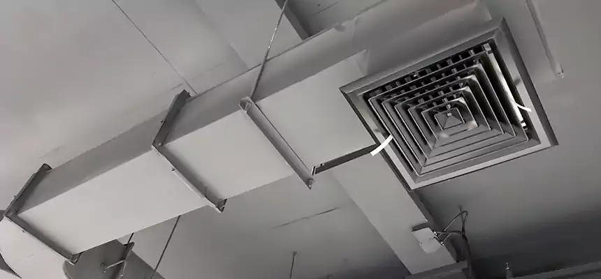 Restorative Allergy Relief Vent Cleaning – Coil, Blower & Housing Detail in Lexington