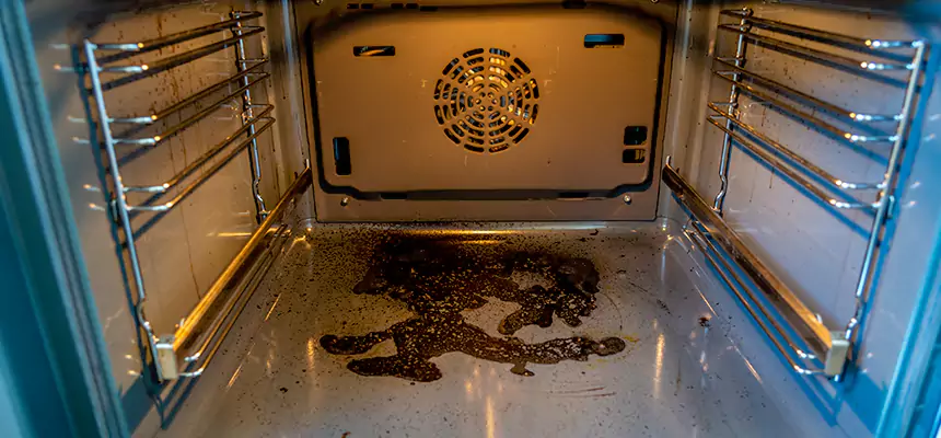 Our Dryer Vent Mold Cleaning Services in Lexington, SC