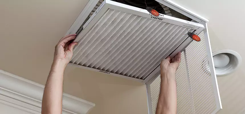 Our Insect Removal from Air Ducts Services in Lexington, SC