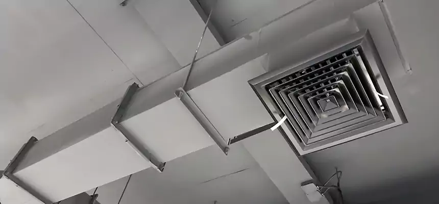 Our Rodent Droppings In Vents Services in Lexington, SC