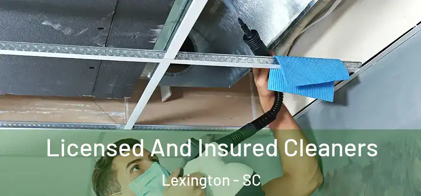  Licensed And Insured Cleaners Lexington - SC