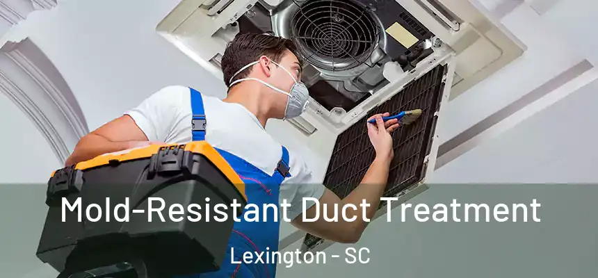 Mold-Resistant Duct Treatment Lexington - SC