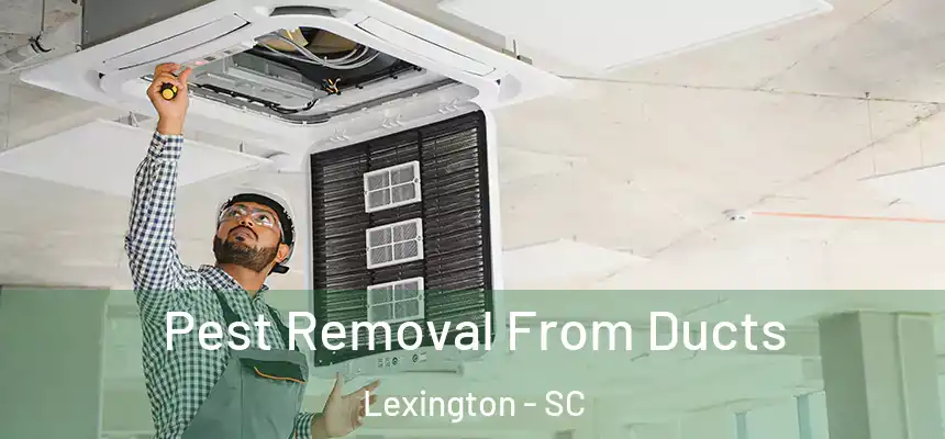  Pest Removal From Ducts Lexington - SC