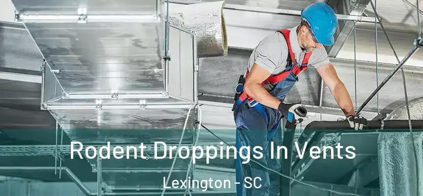  Rodent Droppings In Vents Lexington - SC