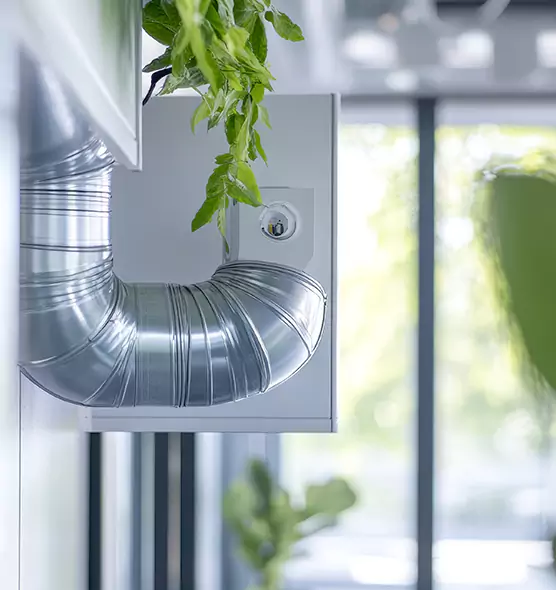 Professional Eco-Friendly Duct Cleaning Services in Lexington, SC