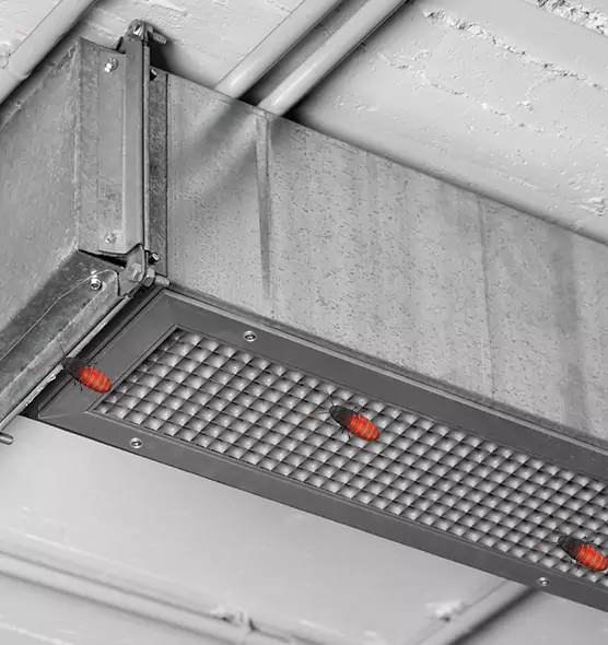 Affordable Insect Removal from Air Ducts in Lexington, SC