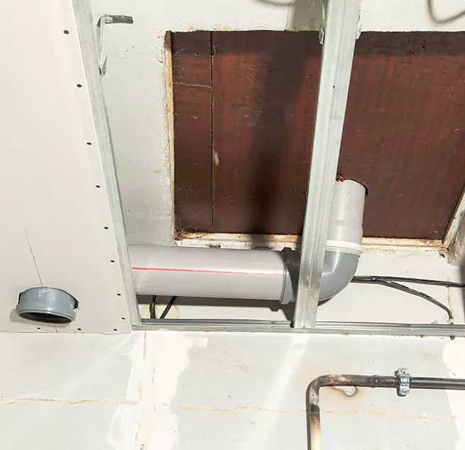 Why Homeowners & Businesses Trust Us in Lexington, SC?