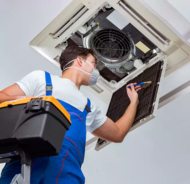 Why Homeowners & Businesses Trust Us in Lexington, SC