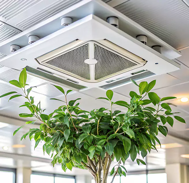 Why Homeowners & Businesses Trust Us in Lexington, SC