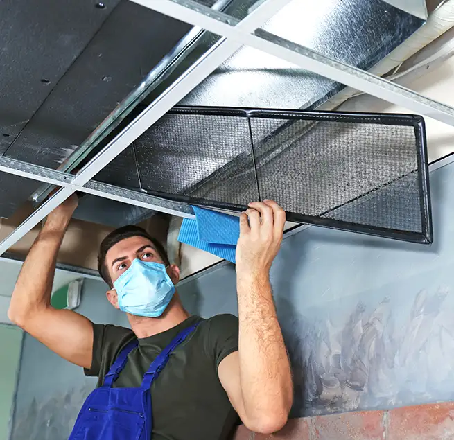 Why Homeowners & Businesses Trust Us in Lexington, SC?